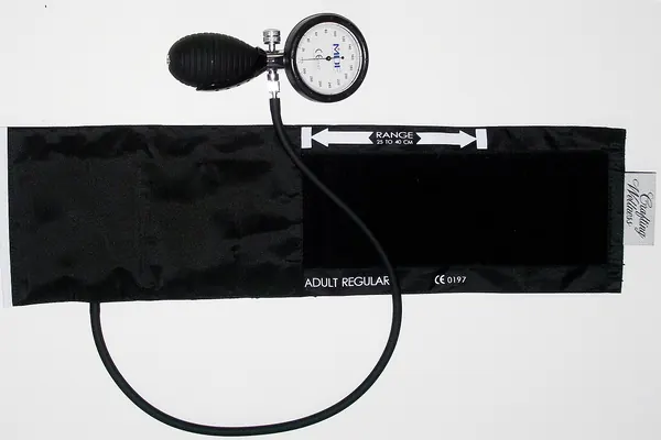 Aneroid sphygmomanometer with its cuff and inflation bulb, used to take blood pressure