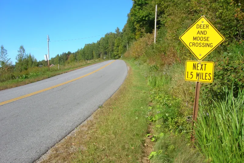 Yellow deer and moose crossing warning sign with a Next 1.5 Miles plaque beside a rural road in Vermont
