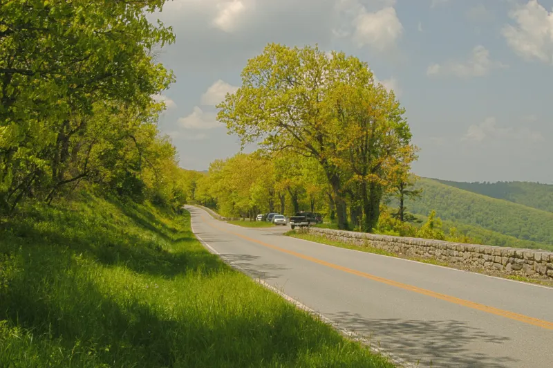 Skyline Drive curving past spring trees and a stone wall in Shenandoah National Park, Virginia